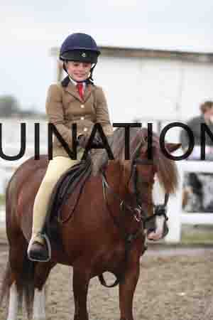 LIZ-1544