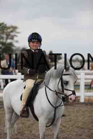 LIZ-1562