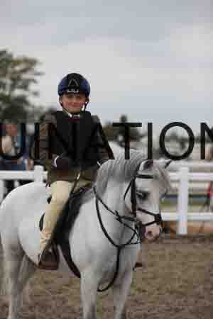 LIZ-1563