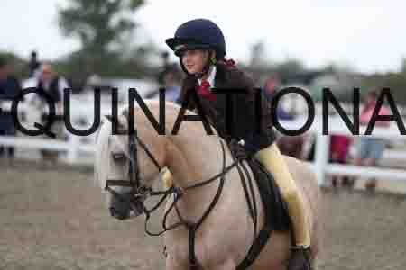 LIZ-1567