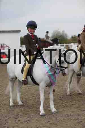 LIZ-1570