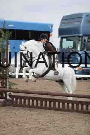 LIZ-1579