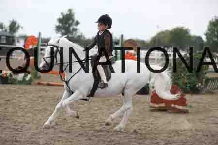 LIZ-1584