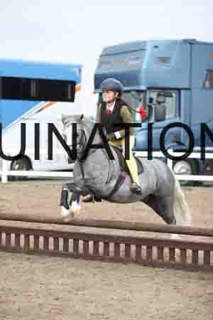LIZ-1586