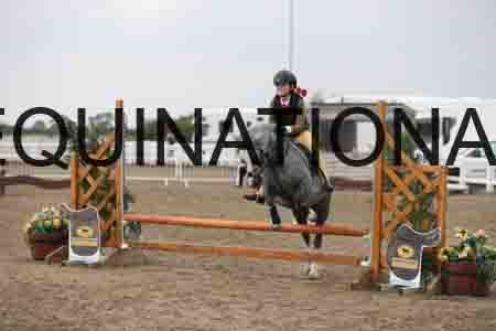 LIZ-1589