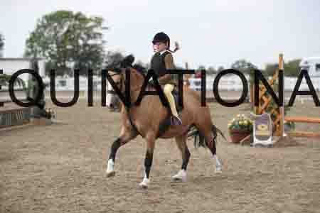 LIZ-1596