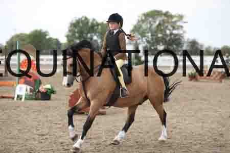 LIZ-1597