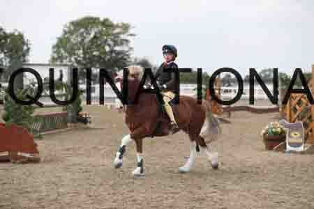 LIZ-1603