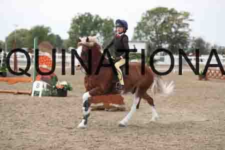 LIZ-1604