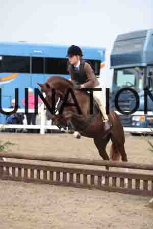 LIZ-1606