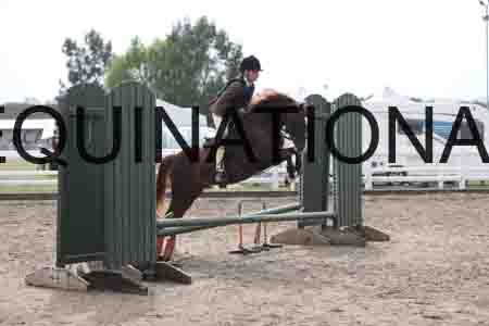 LIZ-1608
