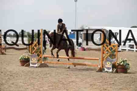 LIZ-1609