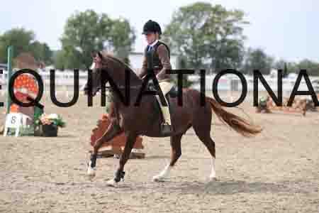LIZ-1610