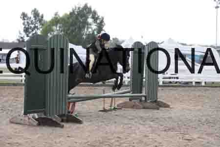 LIZ-1622