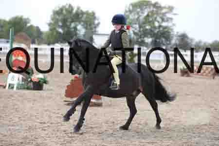 LIZ-1624