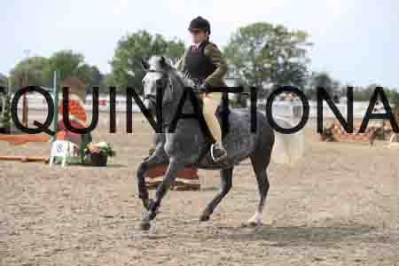 LIZ-1635