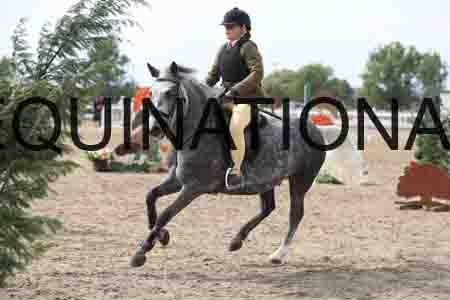 LIZ-1636