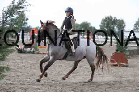 LIZ-1643