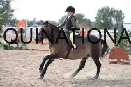 LIZ-1657
