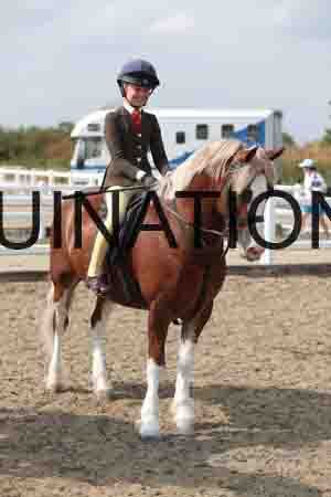 LIZ-1685