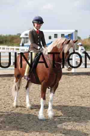 LIZ-1686
