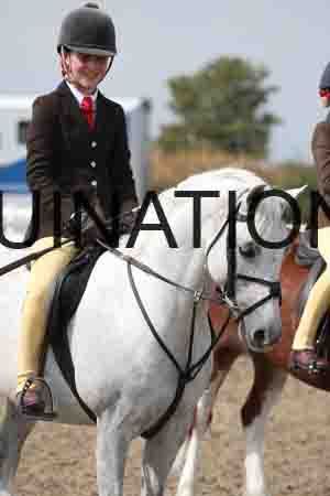 LIZ-1695