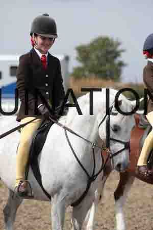 LIZ-1696