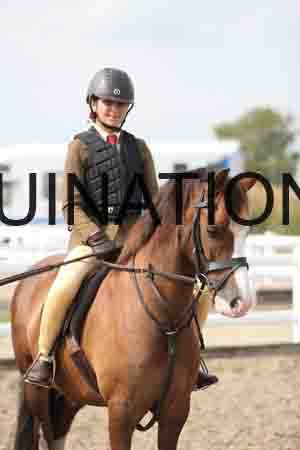 LIZ-1697