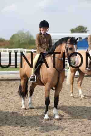 LIZ-1706