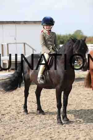 LIZ-1733