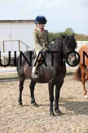 LIZ-1734