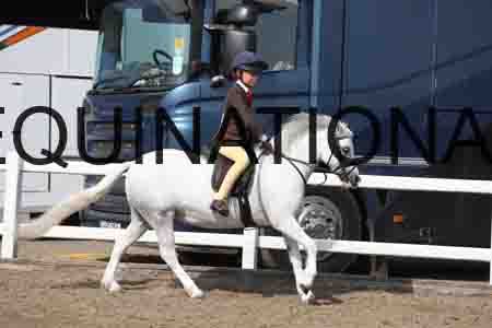 LIZ-1768
