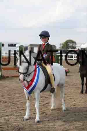 LIZ-1780