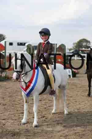 LIZ-1783