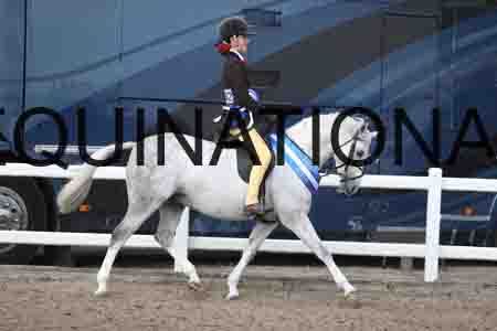LIZ-1795