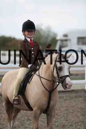 LIZ-1842