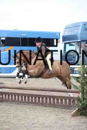 LIZ-1903