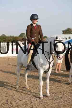 LIZ-1039
