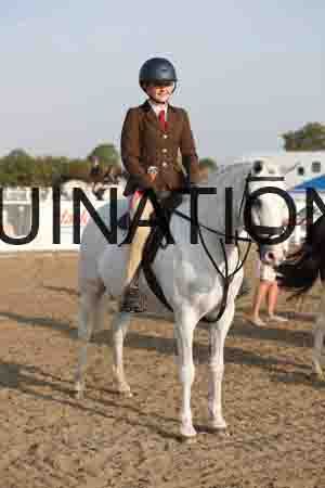 LIZ-1040