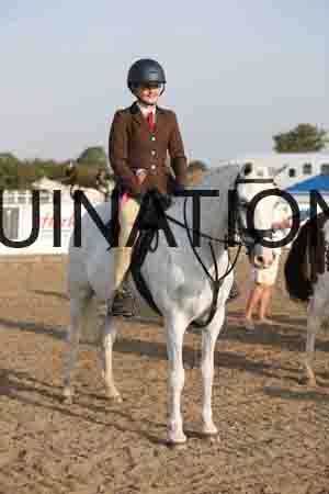 LIZ-1041