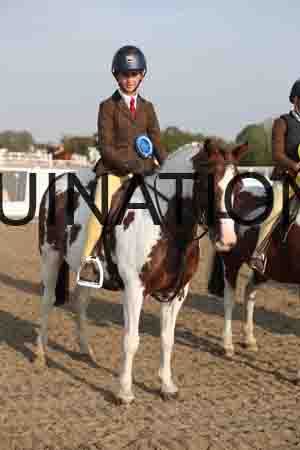 LIZ-1042