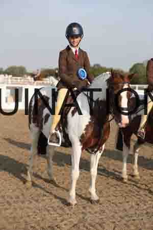 LIZ-1043