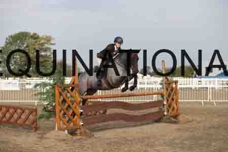LIZ-1057