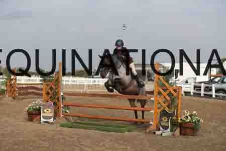 LIZ-1059
