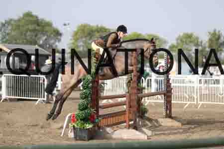 LIZ-1065