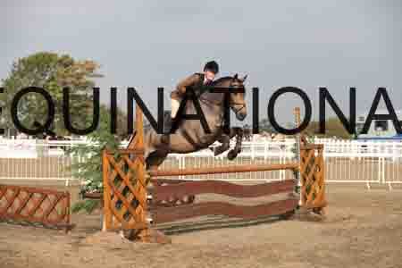 LIZ-1067