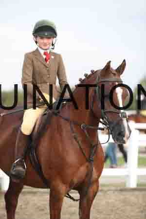 LIZ-1079