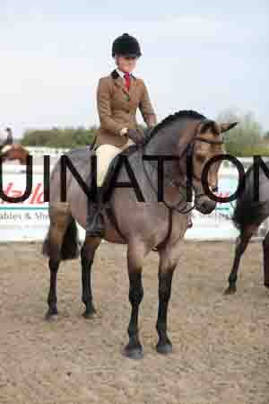 LIZ-1095