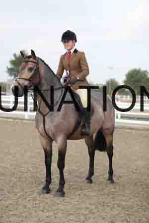 LIZ-1109