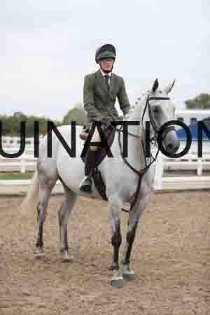 LIZ-1261
